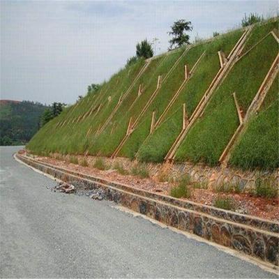 邊坡綠化工程 公路工程建筑的生態(tài)屏障與美學融合